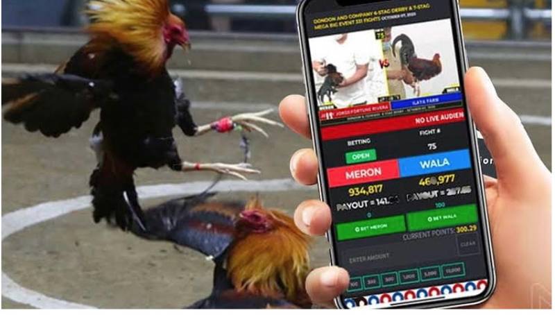 Tỷ Lệ Cược Đá Gà Online Và Cách Phân Tích Để Tăng Cơ Hội Thắng 5 Bí quyết của dân chơi giàu kinh nghiệm