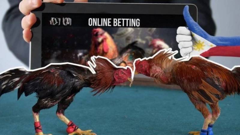 Tỷ Lệ Cược Đá Gà Online Và Cách Phân Tích Để Tăng Cơ Hội Thắng 4 Tránh những sai lầm khi đọc kèo đá gà online